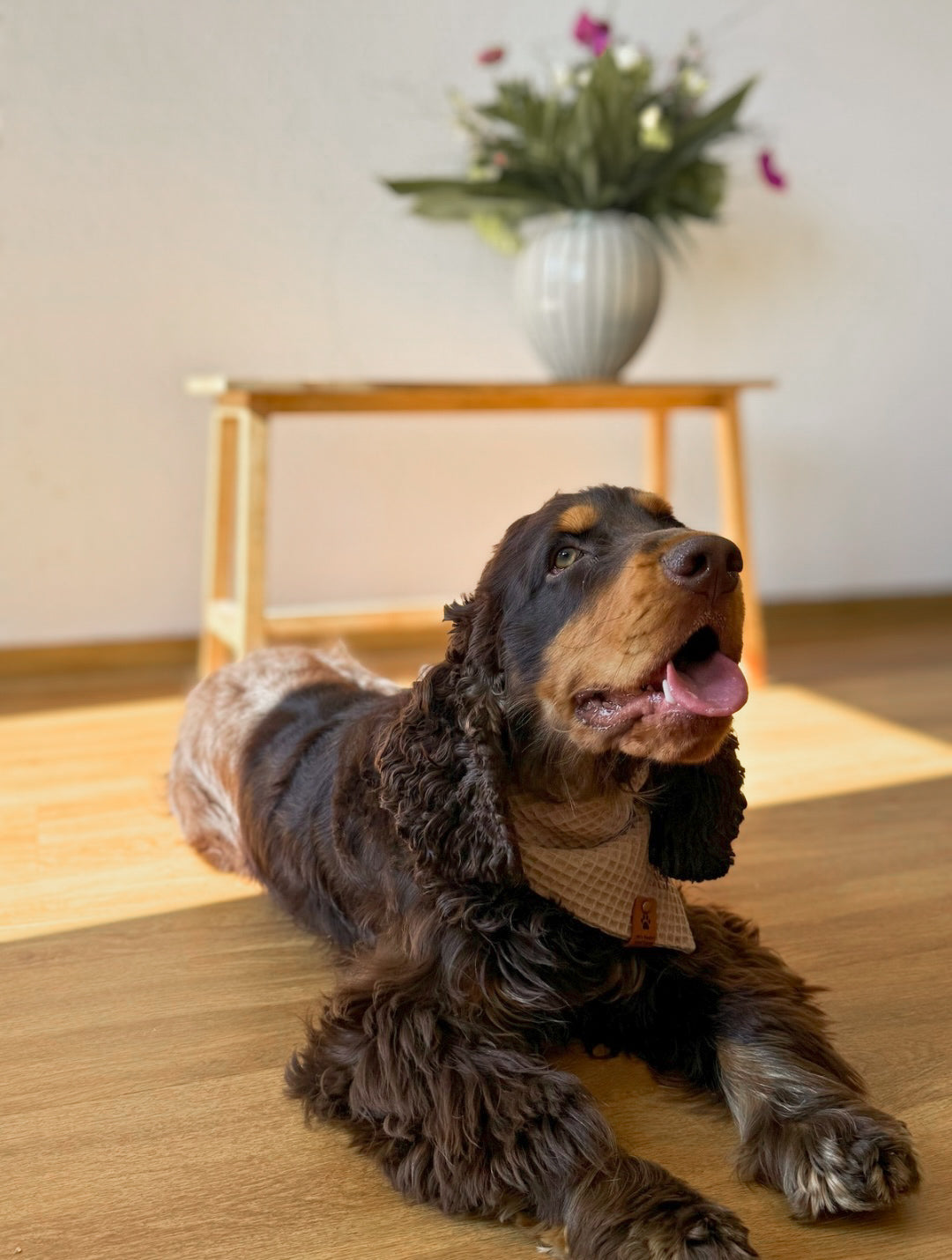 Daisy-Loop - Hundehalstuch mit Gänseblümchen-Design