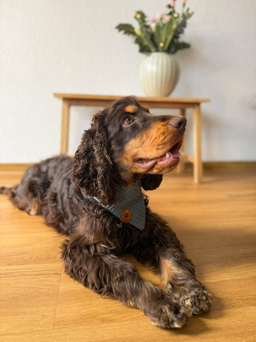 Oscar-Loop - Hundehalstuch mit Wal-Design