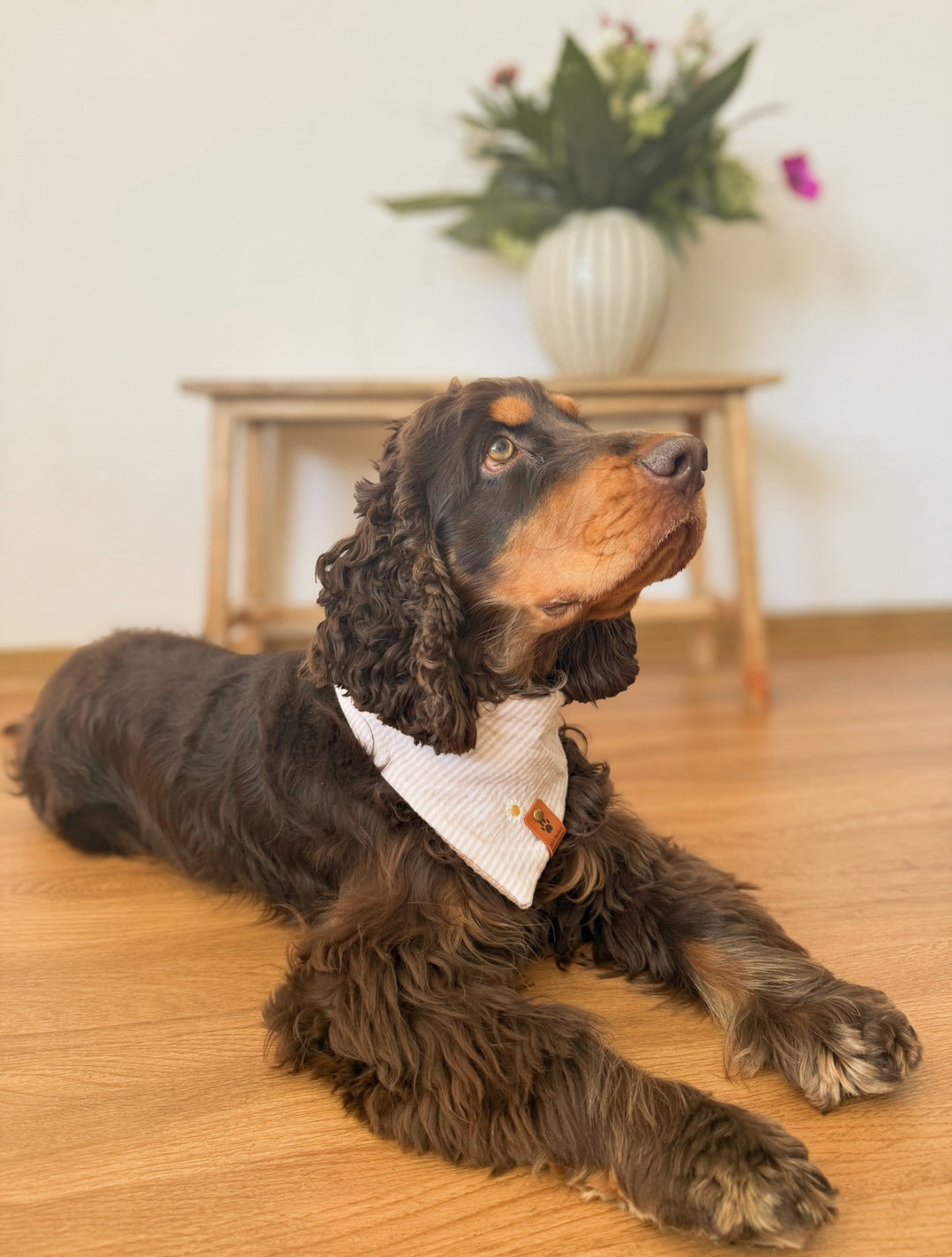 Daisy-Loop - Hundehalstuch mit Gänseblümchen-Design