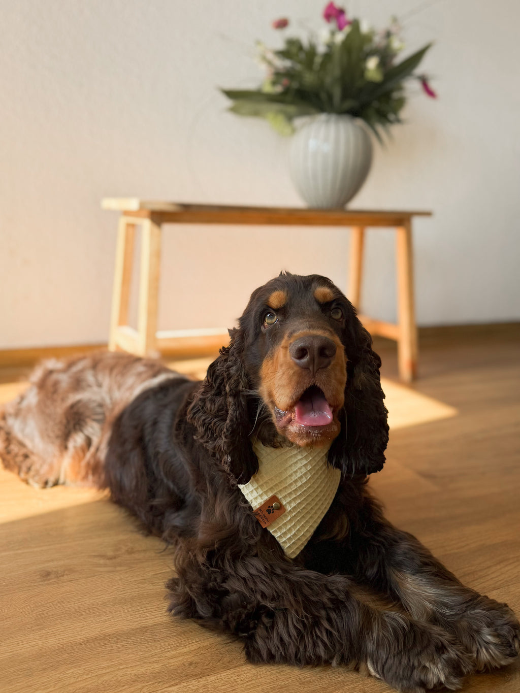 Willy-Loop - Hundehalstuch mit Bienen-Design
