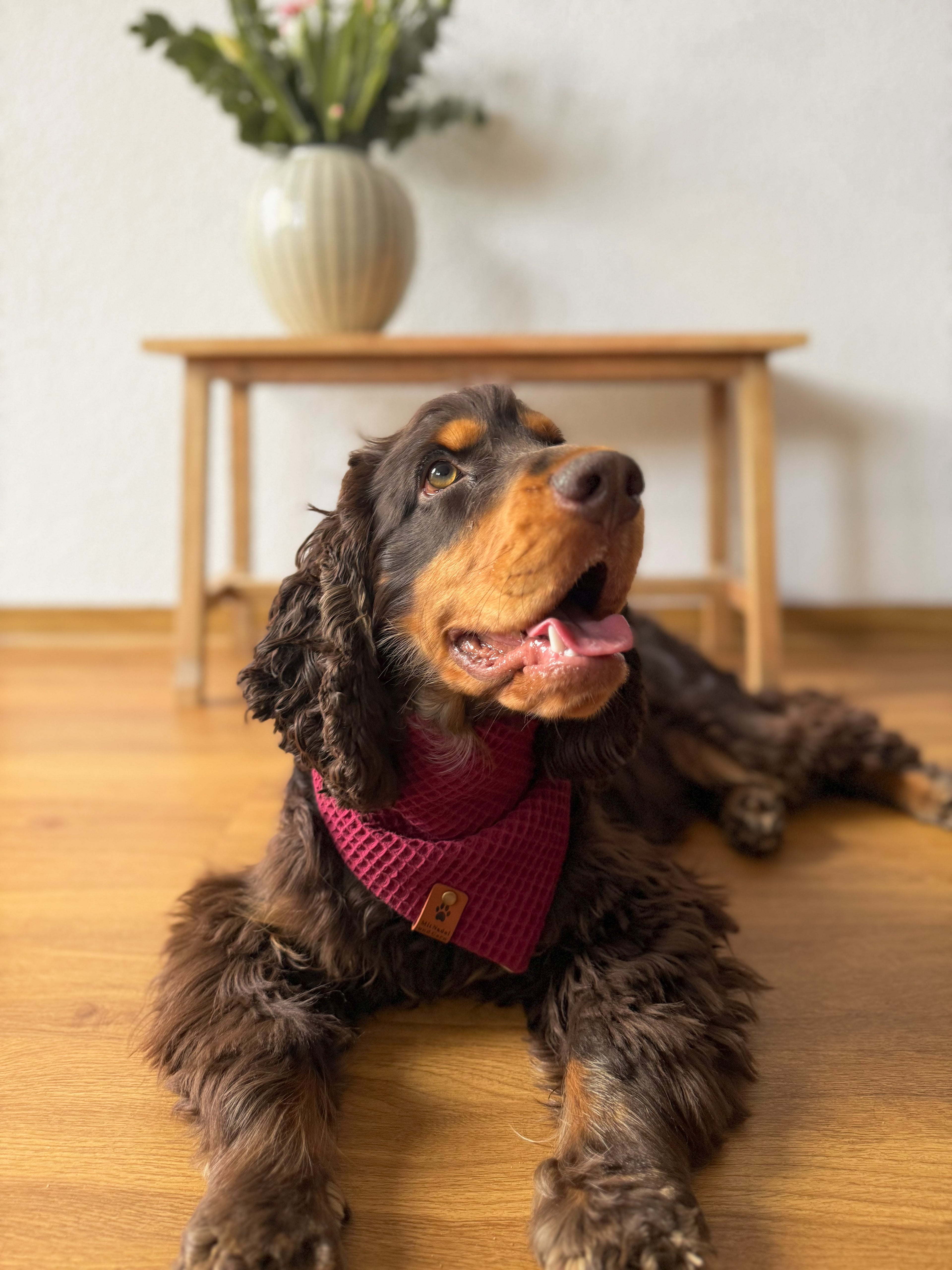 Ella-Loop - Hundehalstuch mit Marienkäfter-Design