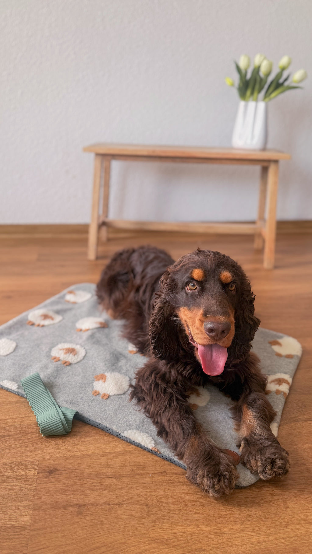 Alfie's Dream – Hundedecke mit Schäfchen-Design