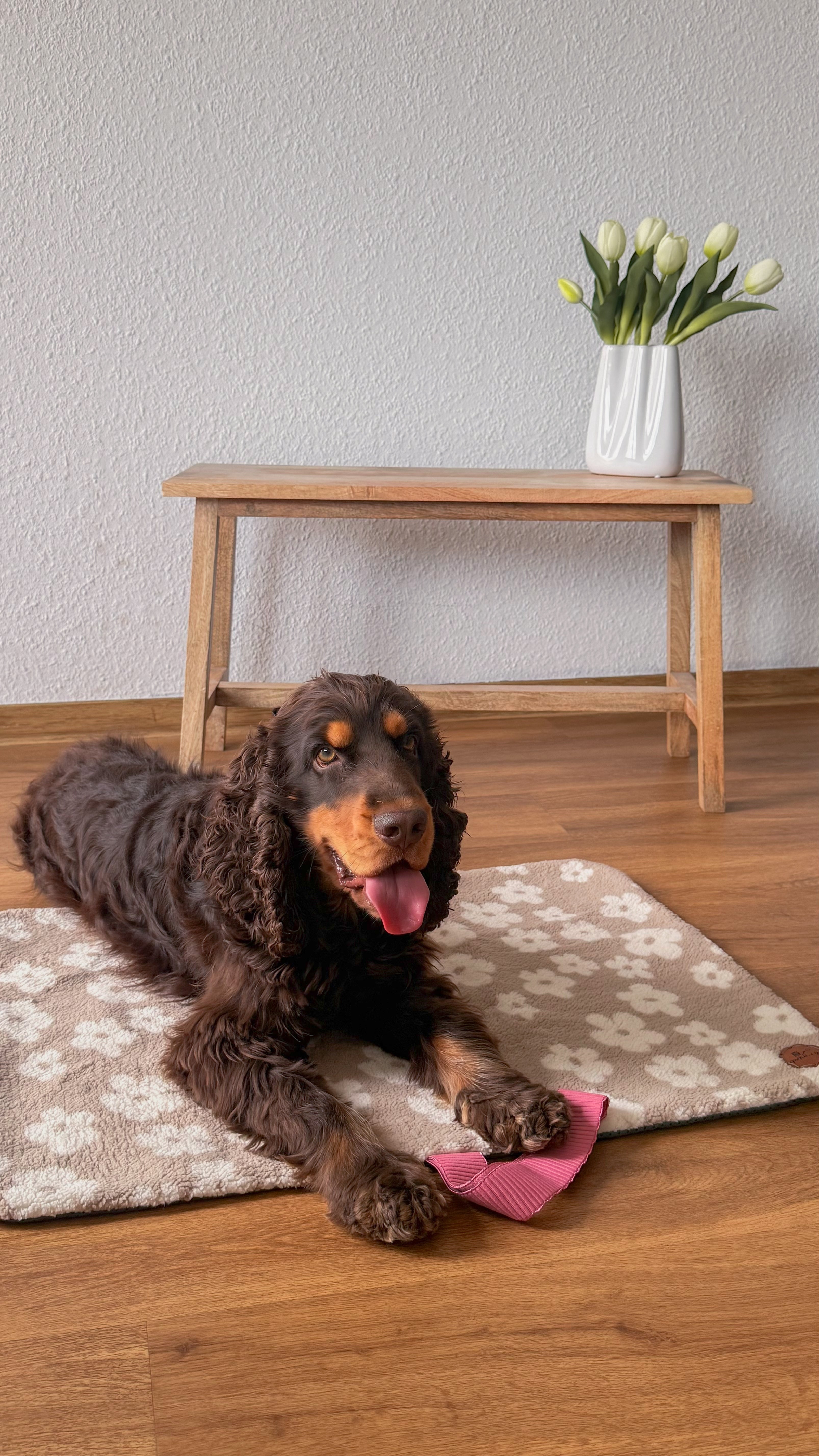 Ginny’s Dream – Hundedecke mit Blumen-Design