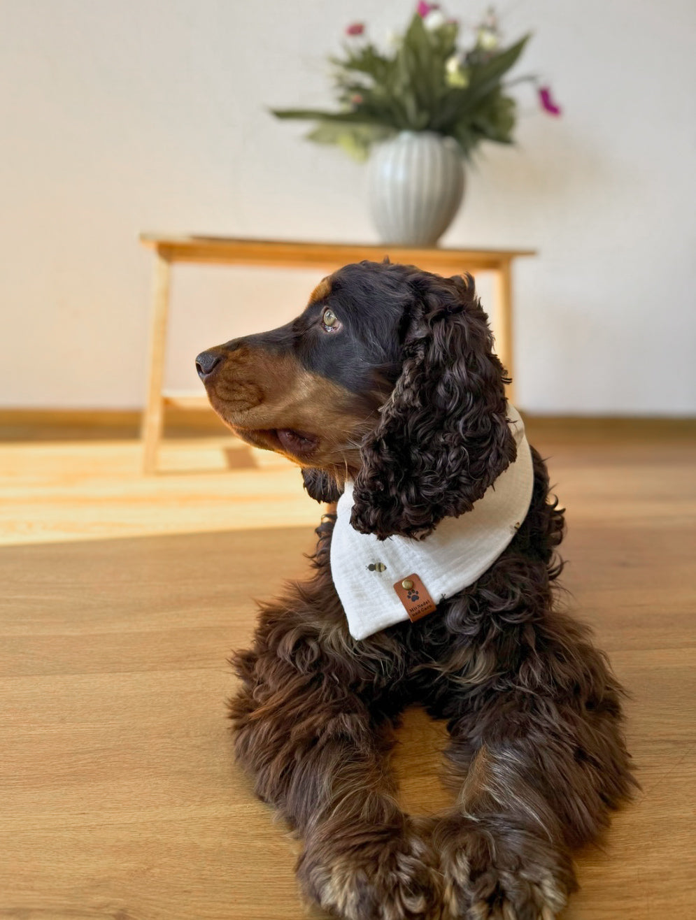 Willy-Loop - Hundehalstuch mit Bienen-Design