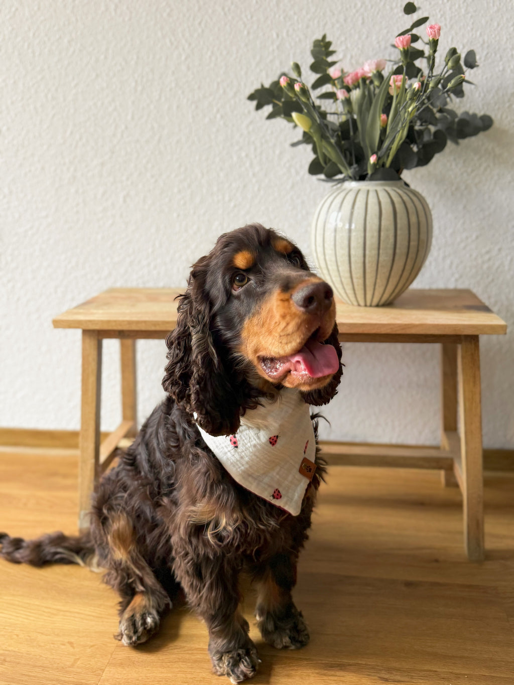 Ella-Loop - Hundehalstuch mit Marienkäfer-Design