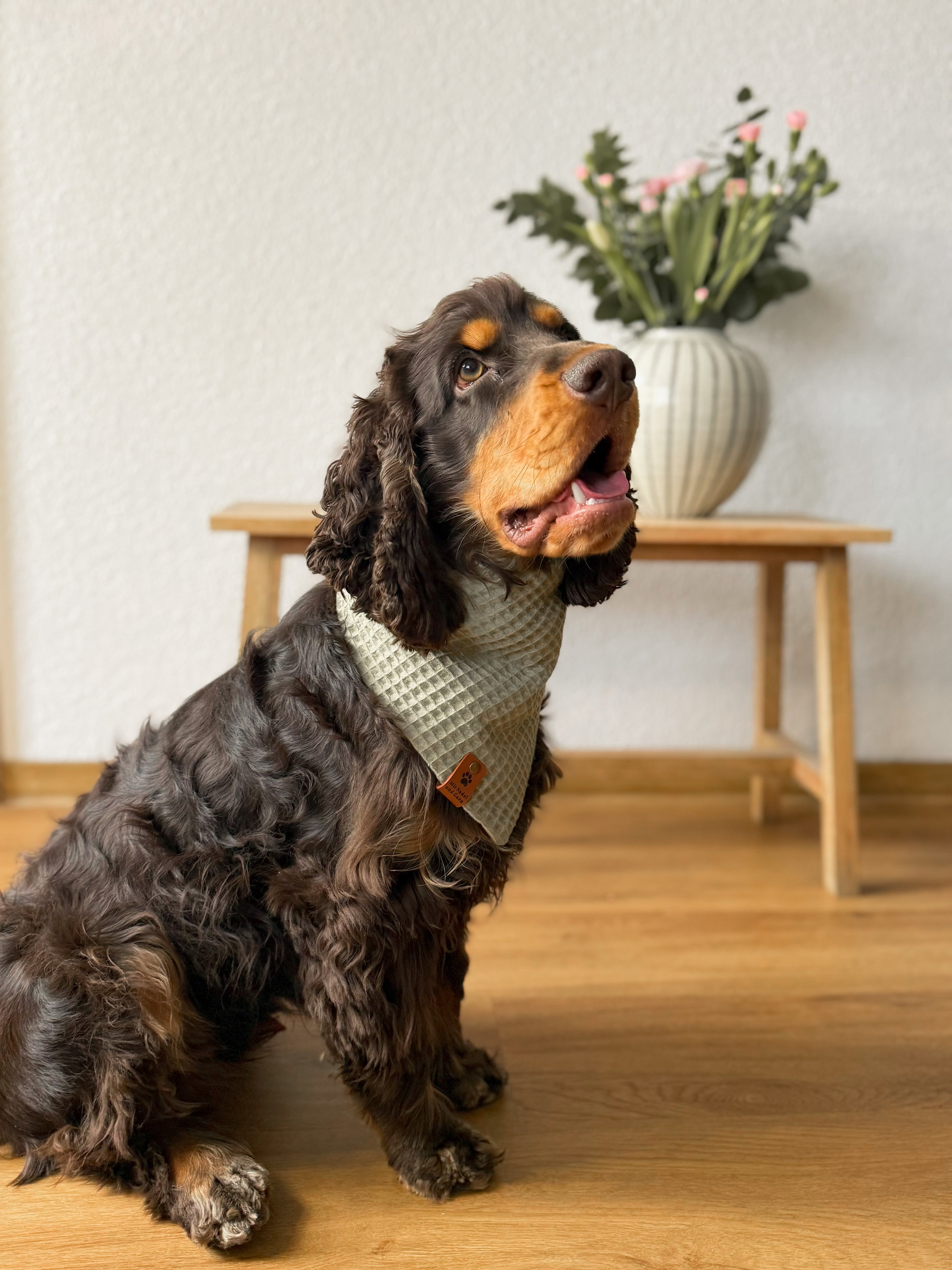 Milo-Loop - Hundehalstuch mit Zweige-Design